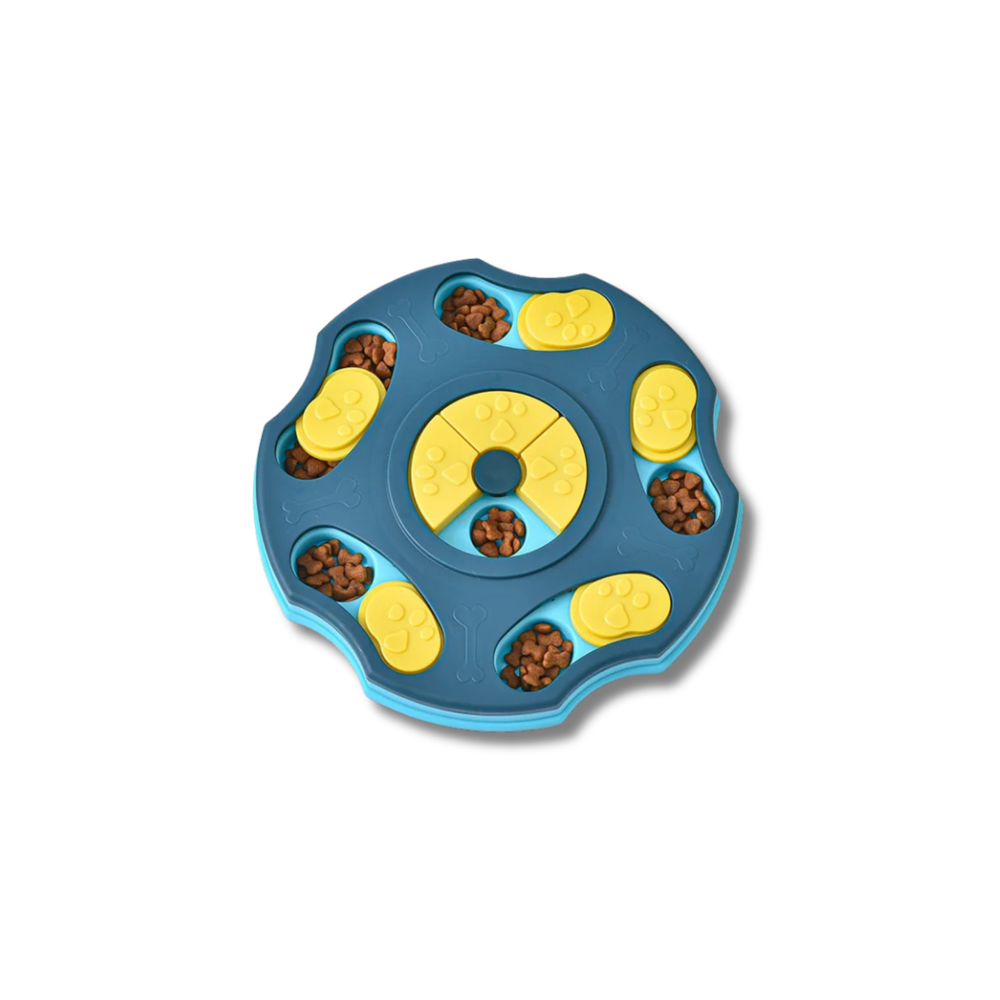 Blue Brain Builder